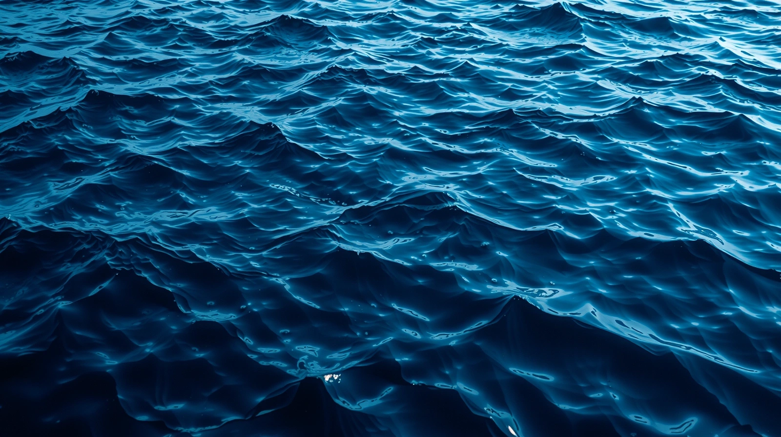 Gestión de Privacidad